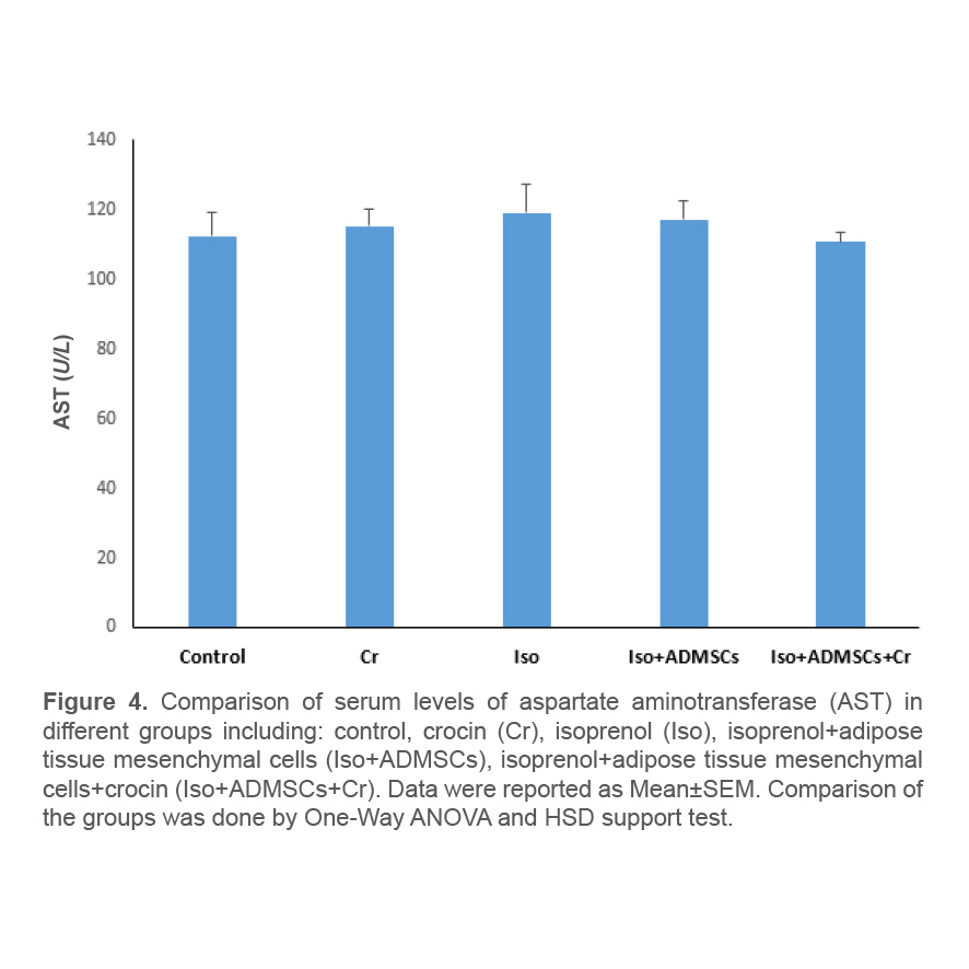 Figure 4. Comparison of serum levels of aspartate aminotransferase (AST) in different groups including: control, crocin (Cr), isoprenol (Iso), isoprenol+adipose tissue mesenchymal cells (Iso+ADMSCs), isoprenol+adipose tissue mesenchymal cells+crocin (Iso+ADMSCs+Cr). Data were reported as Mean±SEM. Comparison of the groups was done by One-Way ANOVA and HSD support test.