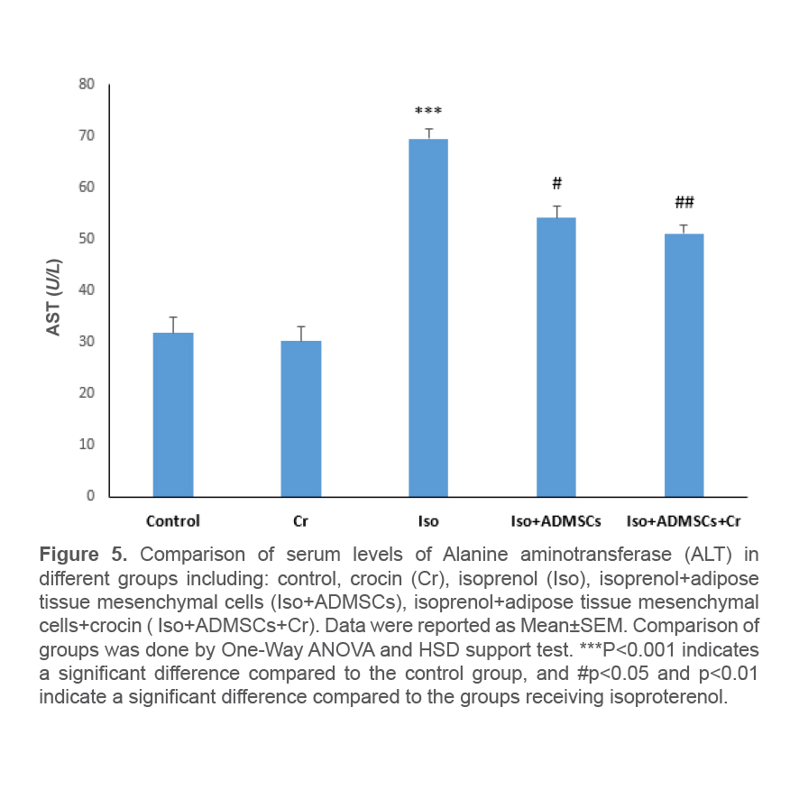 Figure 5. Comparison of serum levels of Alanine aminotransferase (ALT) in different groups including: control, crocin (Cr), isoprenol (Iso), isoprenol+adipose tissue mesenchymal cells (Iso+ADMSCs), isoprenol+adipose tissue mesenchymal cells+crocin ( Iso+ADMSCs+Cr). Data were reported as Mean±SEM. Comparison of groups was done by One-Way ANOVA and HSD support test. ***P<0.001 indicates a significant difference compared to the control group, and #p<0.05 and p<0.01 indicate a significant difference compared to the groups receiving isoproterenol.