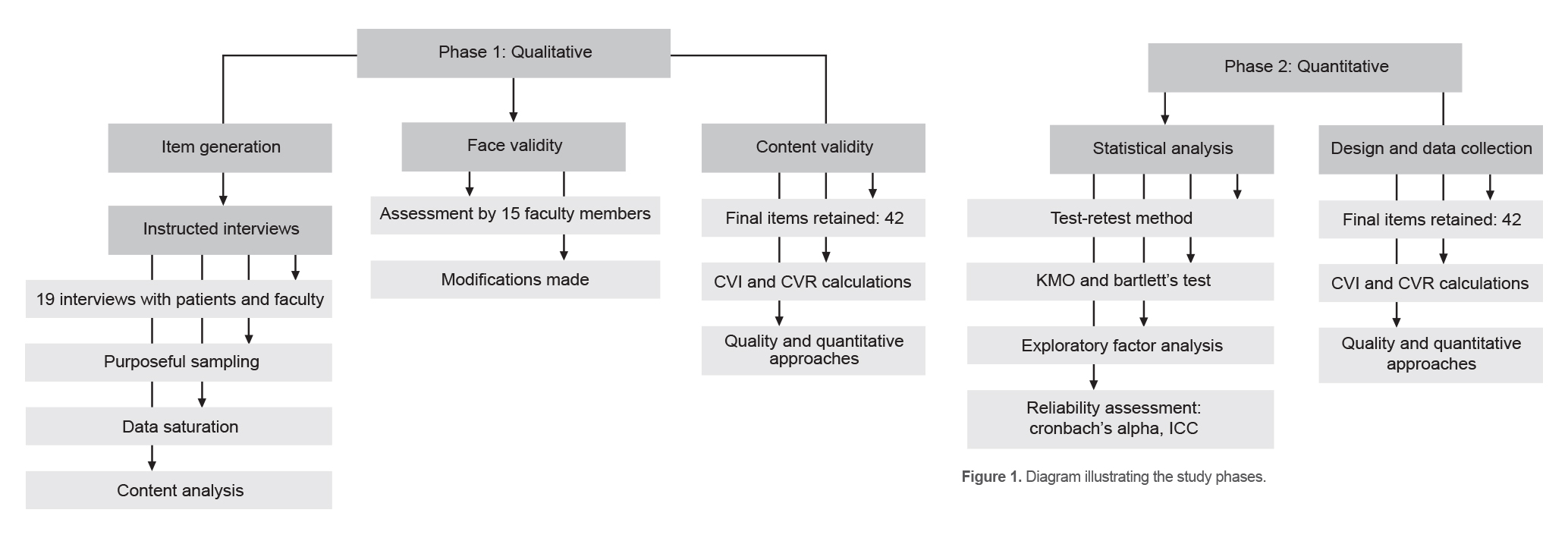 Figure 1. Diagram illustrating the study phases.