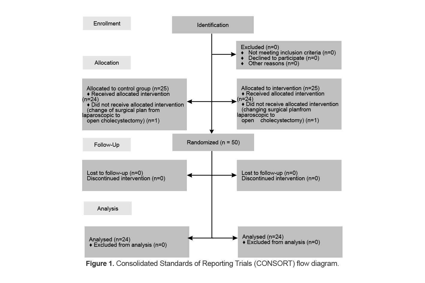Figure 1. Consolidated Standards of Reporting Trials (CONSORT) flow diagram.