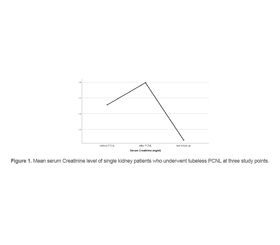 Figure 1. Mean serum Creatinine level of single kidney patients who underwent tubeless PCNL at three study points.
