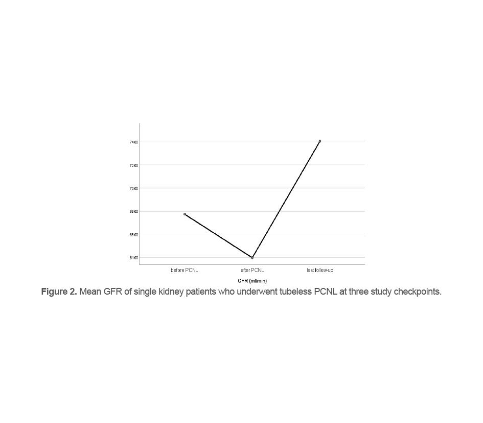 Figure 2. Mean GFR of single kidney patients who underwent tubeless PCNL at three study checkpoints.