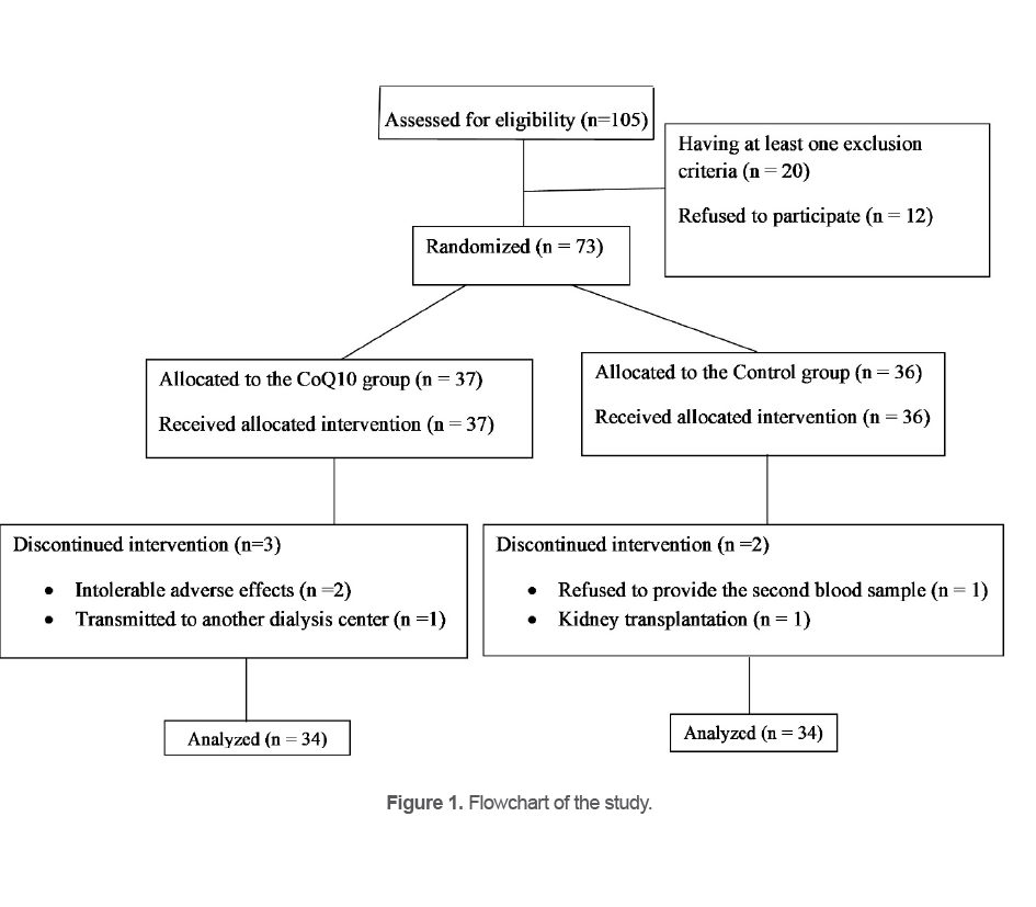 Figure 1. Flowchart of the study.