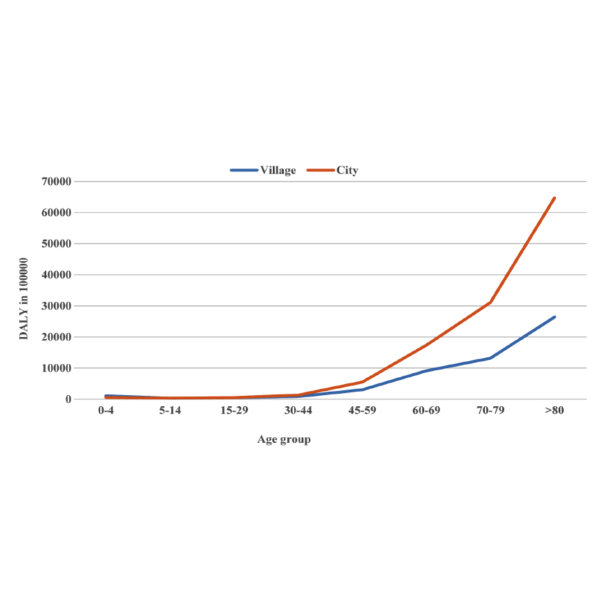 Figure 1. DALYs per 100,000 individuals for COVID-19 in different age groups by patient&rsquo;s residence, North Khorasan, February 2020 to April 2021.