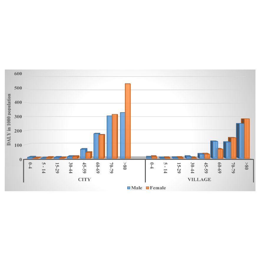 Figure 2. DALYs (per 1000 population) due to Covid 19 disease in different age groups by gender, North Khorasan, February 2020 to April 2021.