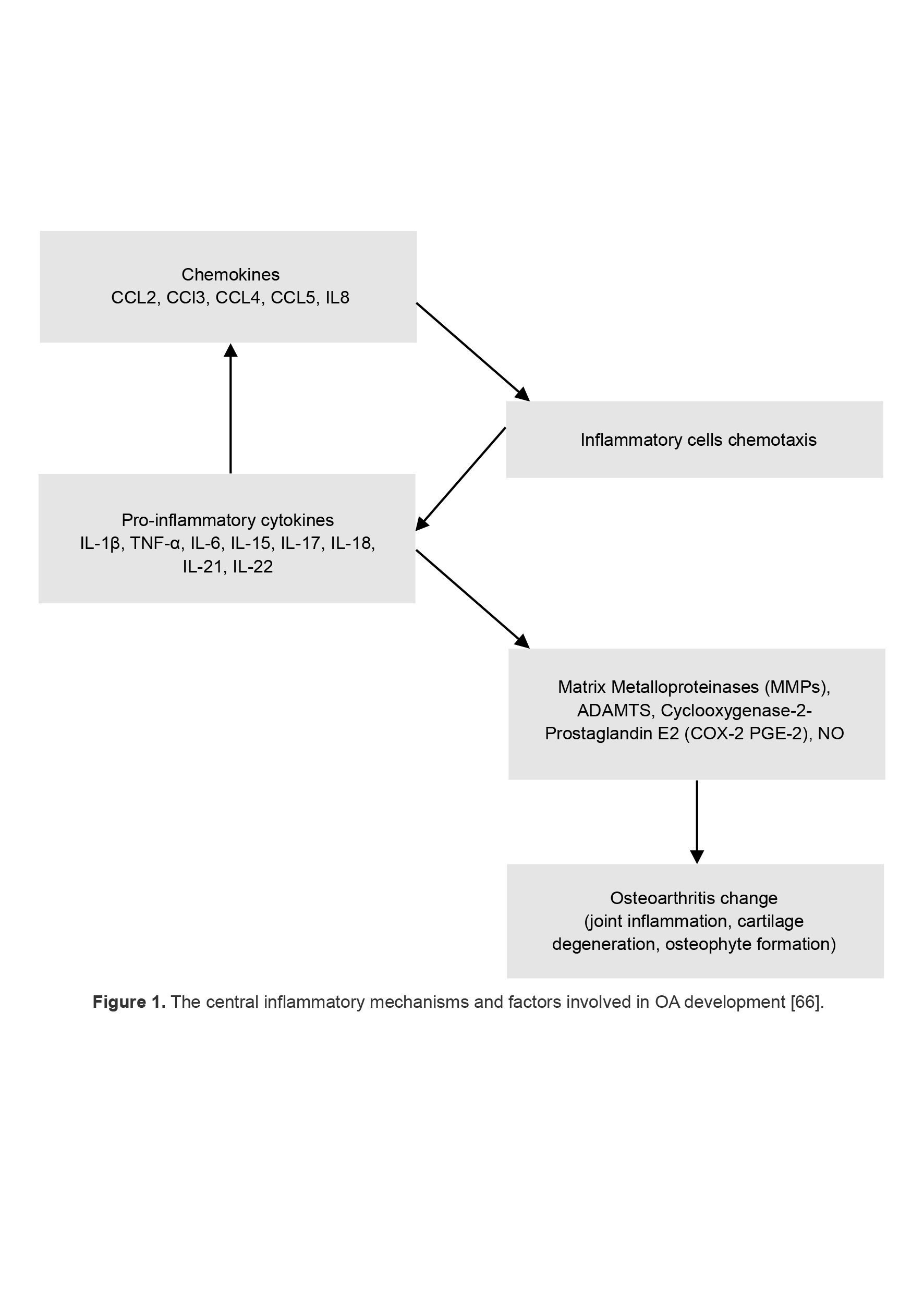 Figure 1. The central inflammatory mechanisms and factors involved in OA development [66].