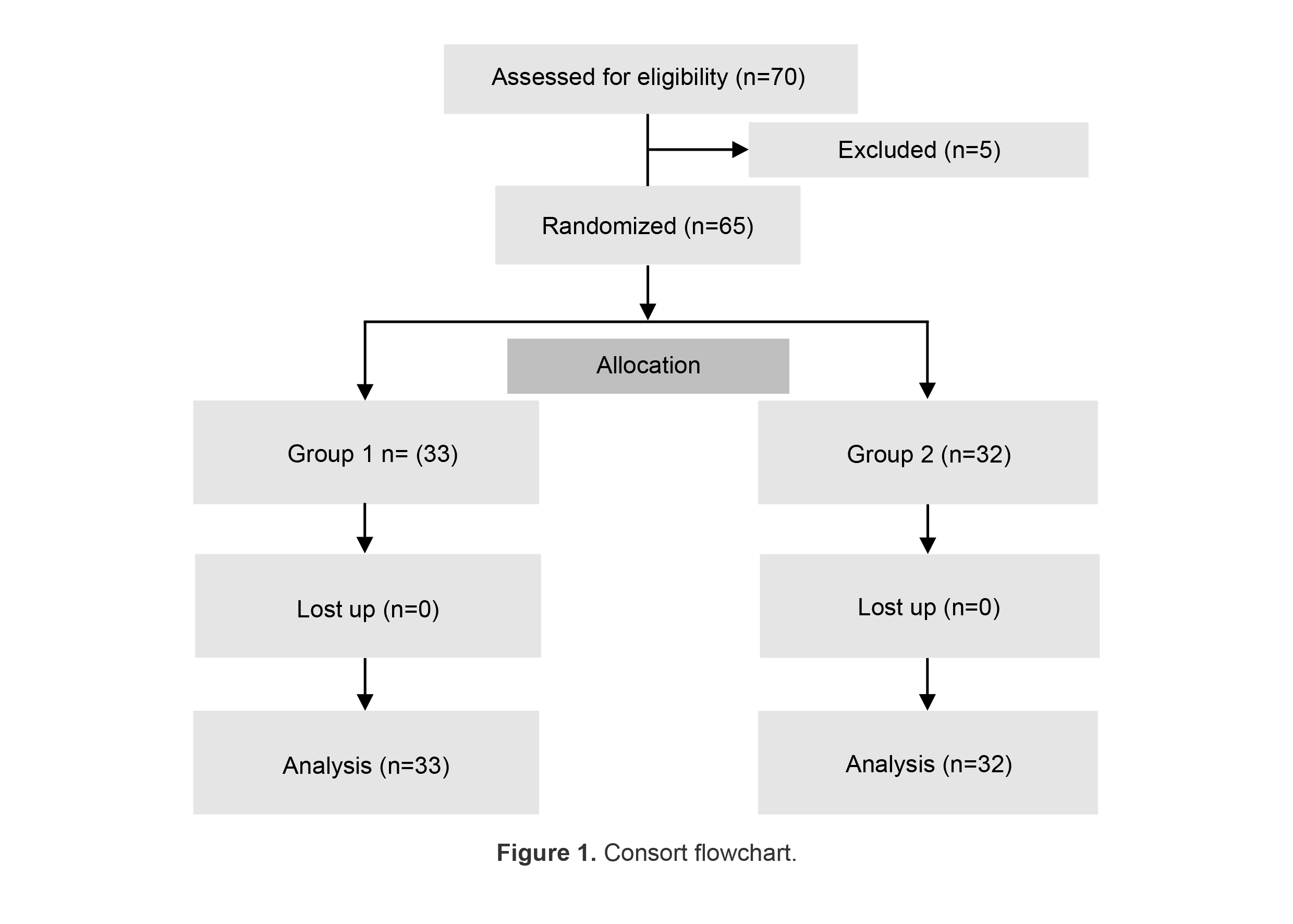 Figure 1. Consort flowchart.
