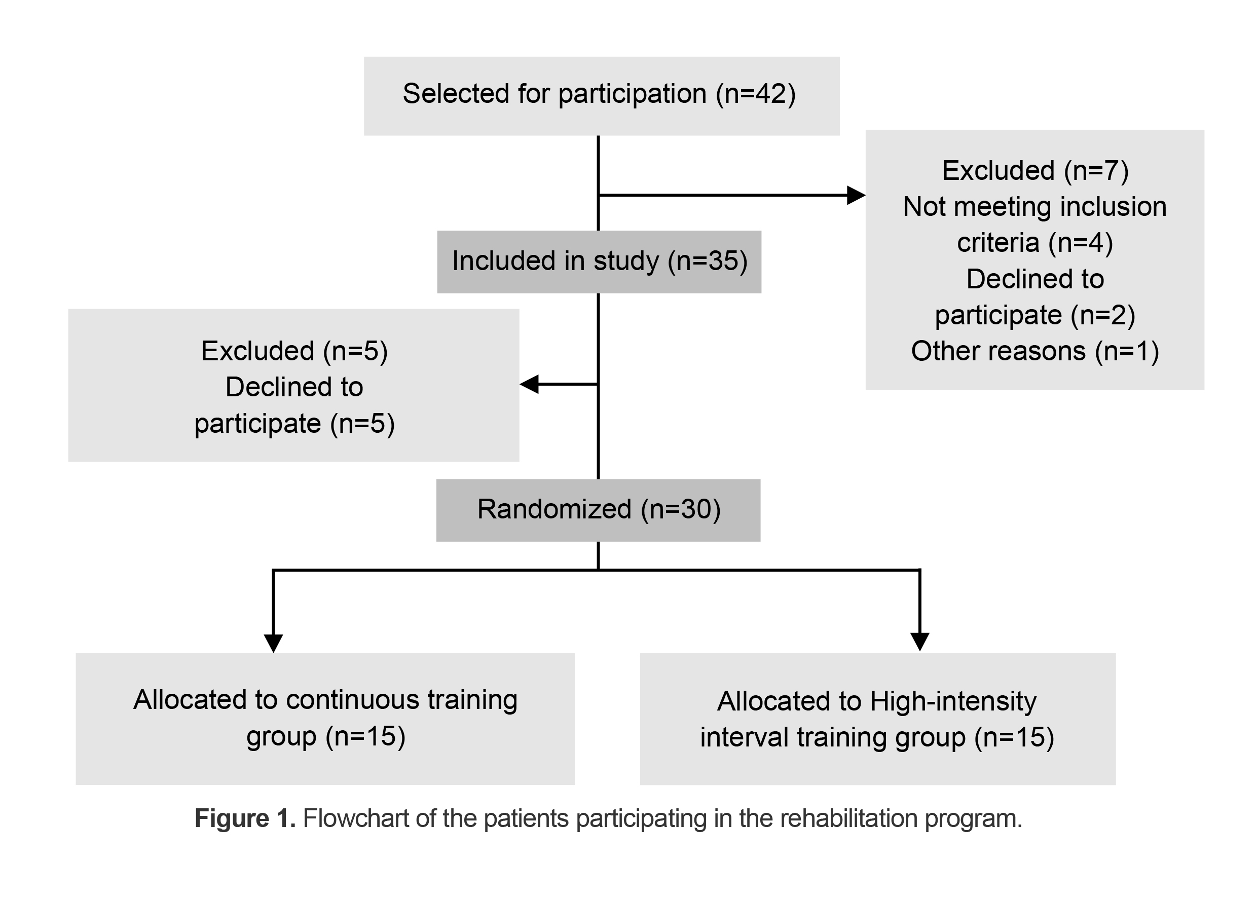 Figure 1. Flowchart of the patients participating in the rehabilitation program.